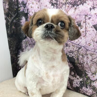 画像11439