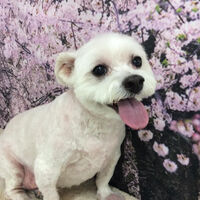 画像11449