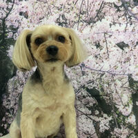 画像11451