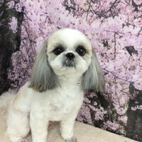 画像11478