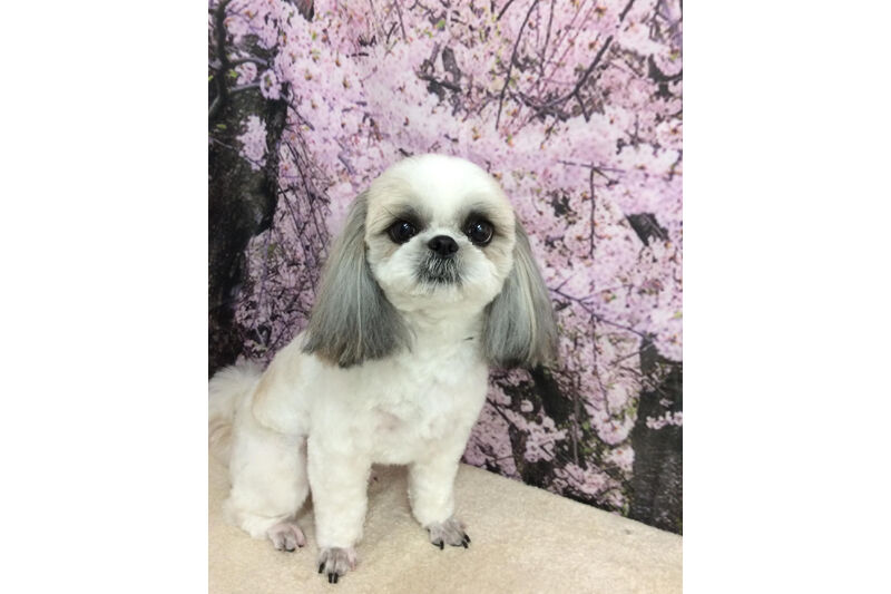 画像11478