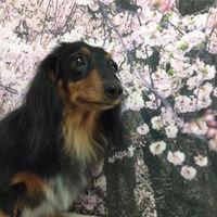 画像11488