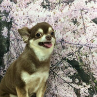 画像11490