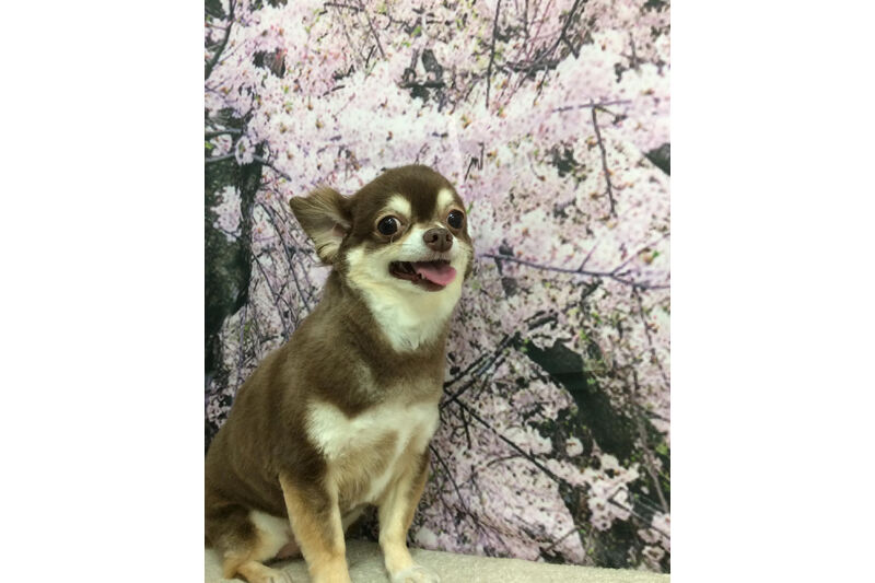画像11490