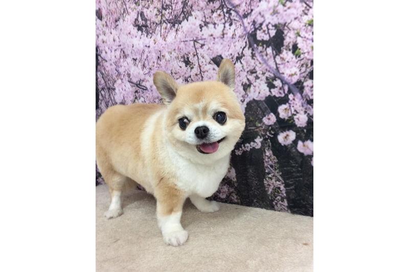 画像11492