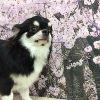 画像11493