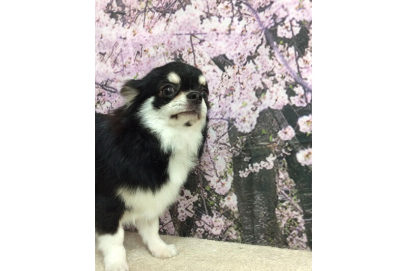 画像11493