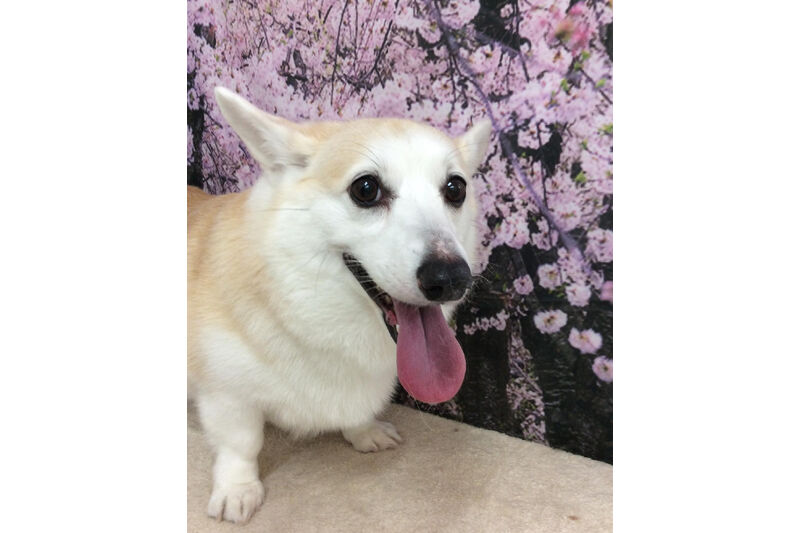 画像11499