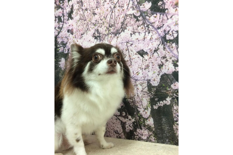 画像11503