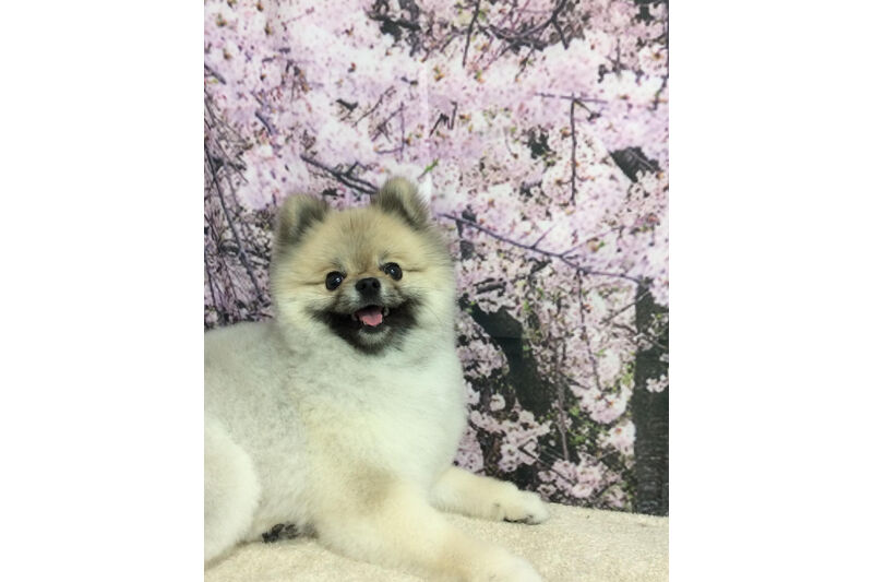 画像11509