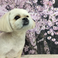 画像11523