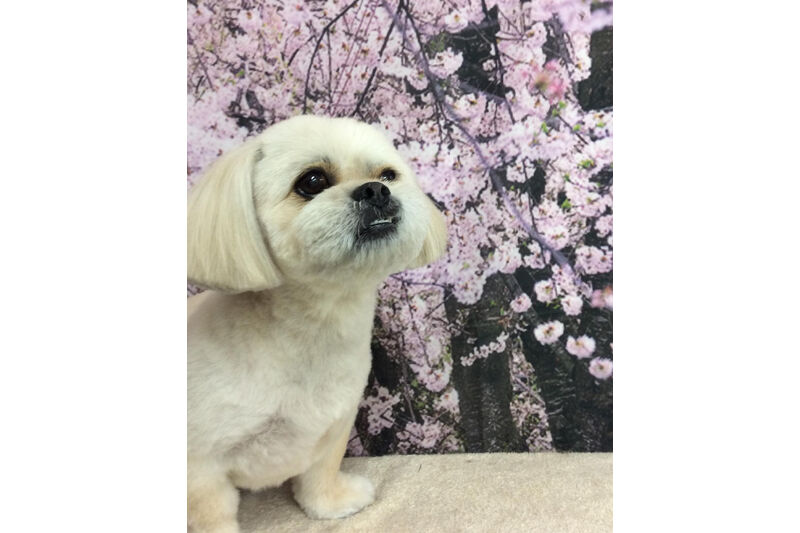 画像11523