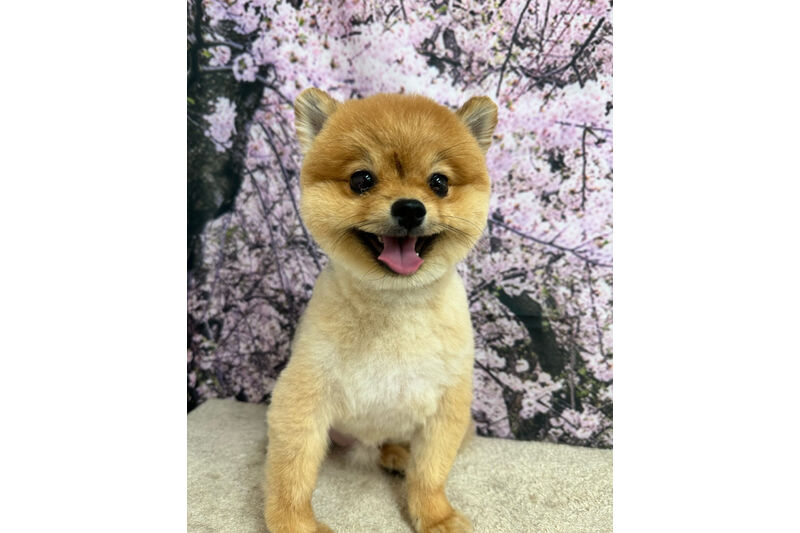 画像11549