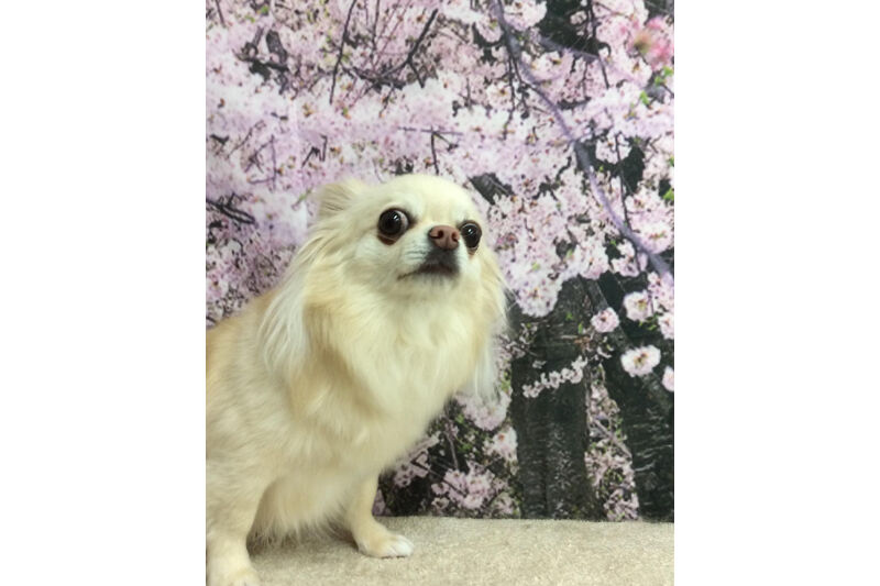 画像11551