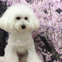 画像11574