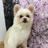 画像11582