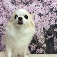 画像11602