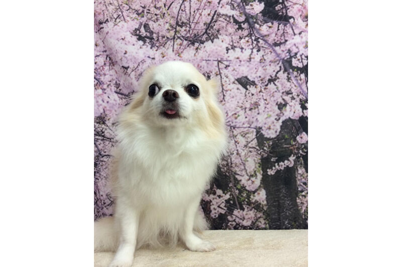 画像11602