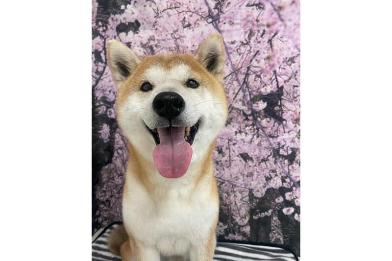 画像11620