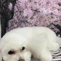 画像11622