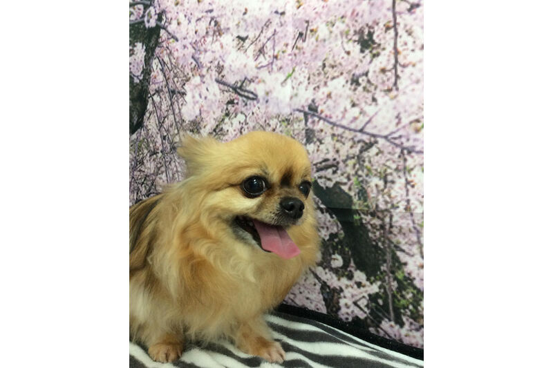 画像11626