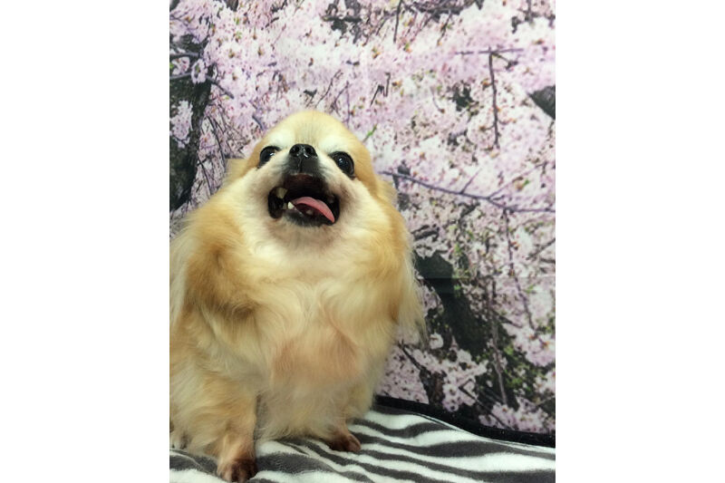 画像11627
