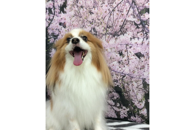 画像11698