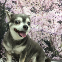 画像11714
