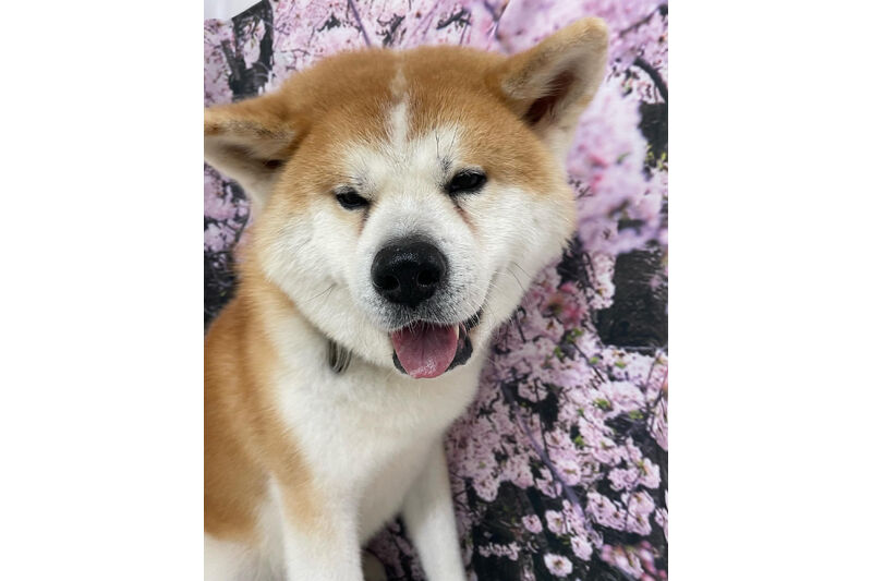 画像11723