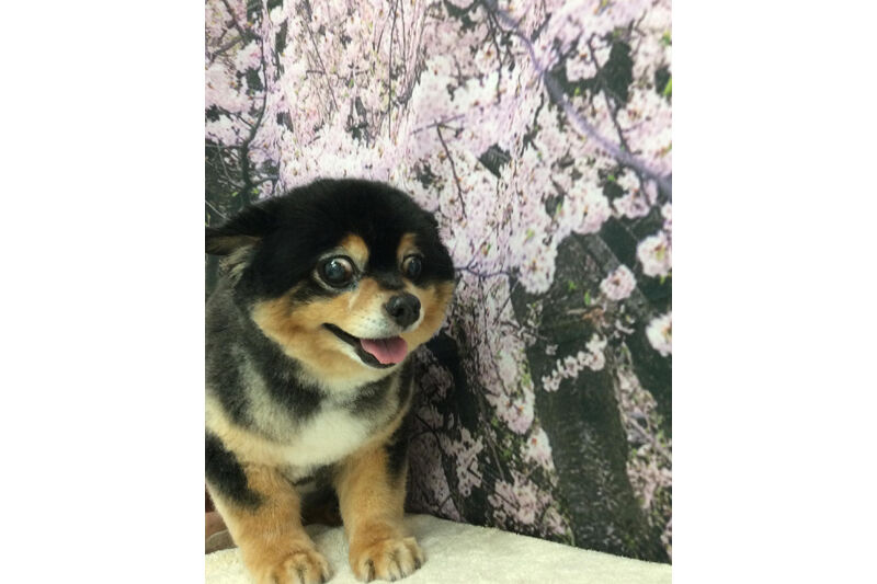 画像11743
