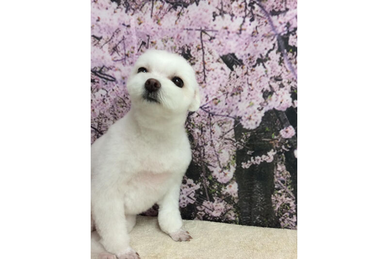 画像11749
