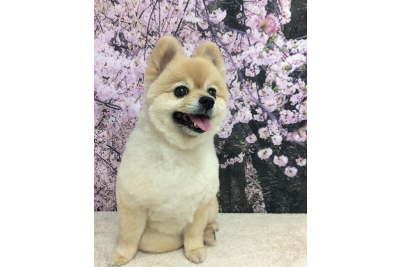 画像11765