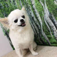 画像12022