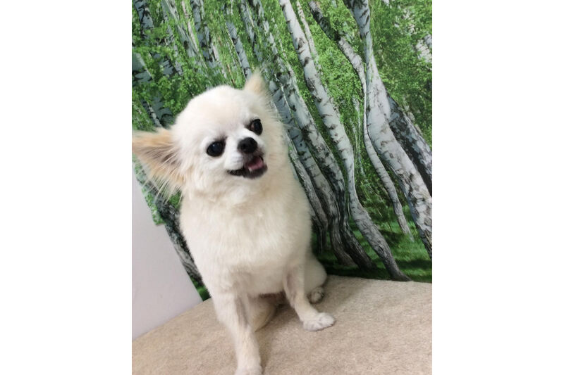 画像12022