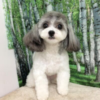画像12030