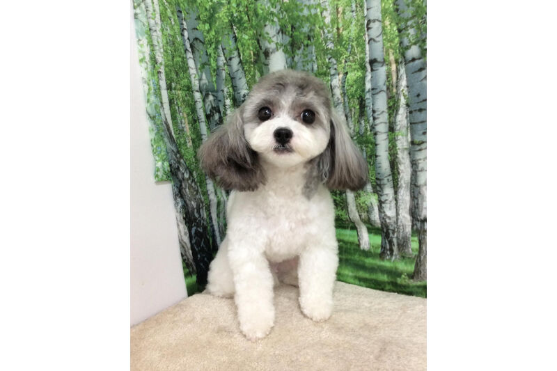 画像12030