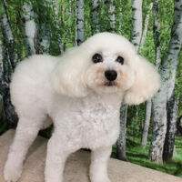 画像12034