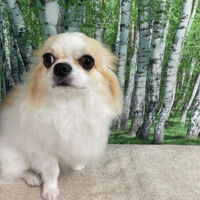 画像12040