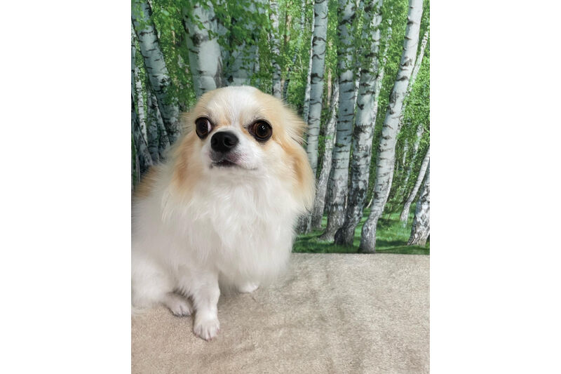 画像12040