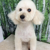 画像12093
