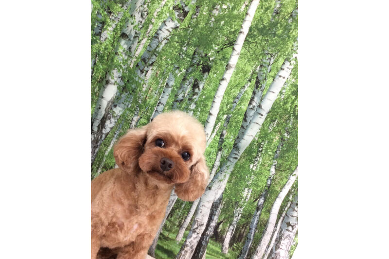 画像12117