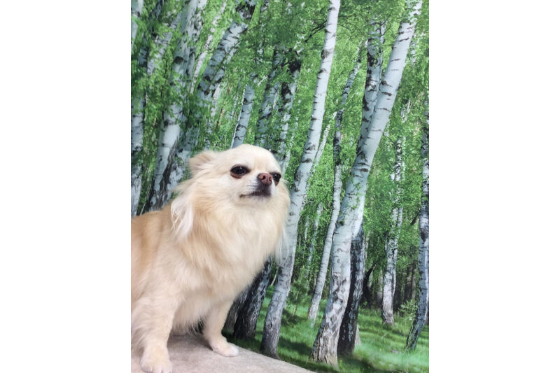 画像12135