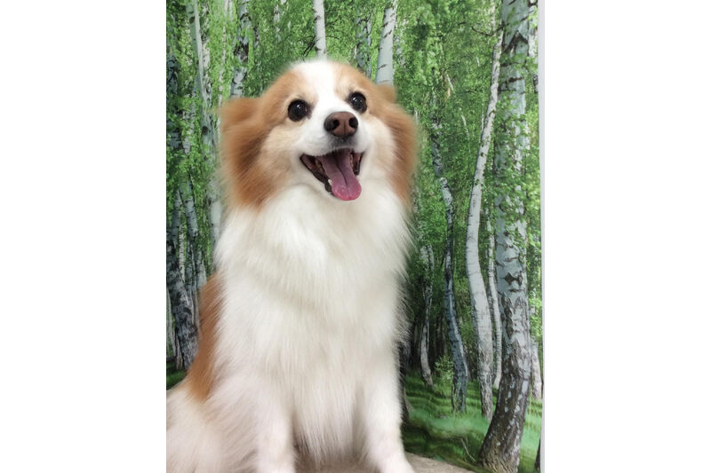 画像12219