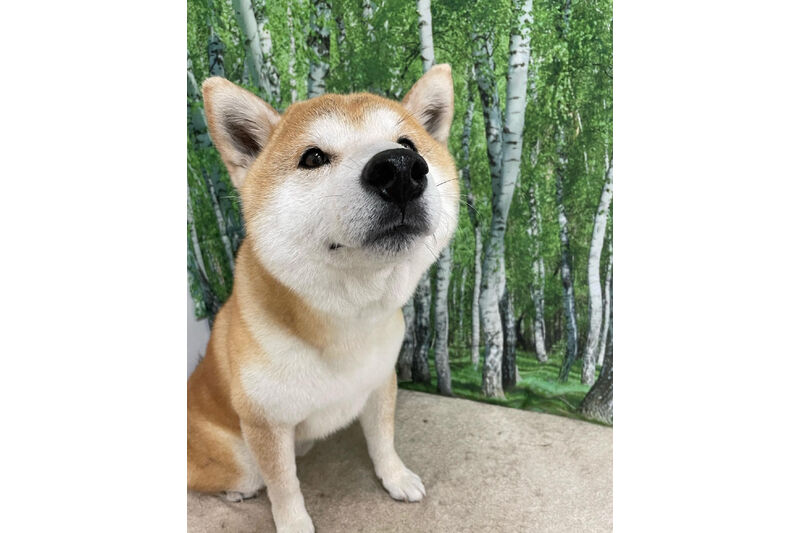 画像12310
