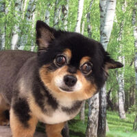 画像12324