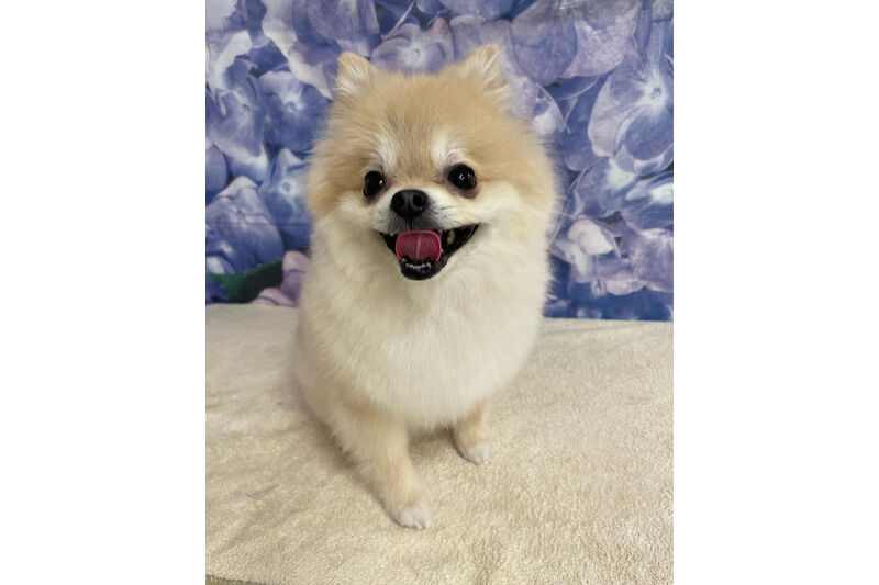 画像12510