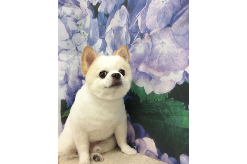 画像12609