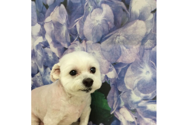 画像12724