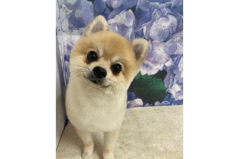 画像12739