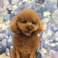 画像12808